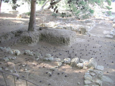 A set of partially uncovered ancient foundations. Mozia Island.